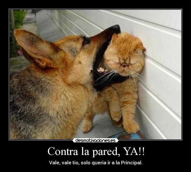 Contra la pared, YA!! - Vale, vale tio, solo queria ir a la Principal.