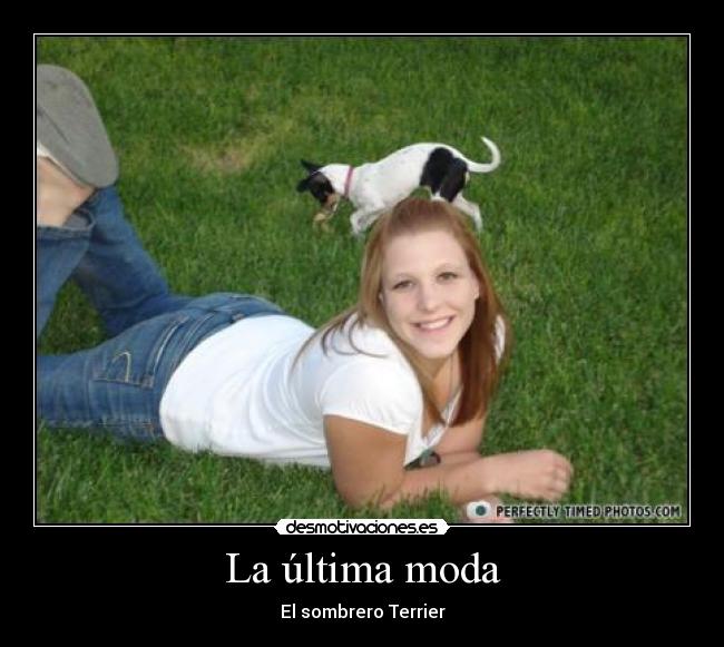 La última moda - El sombrero Terrier