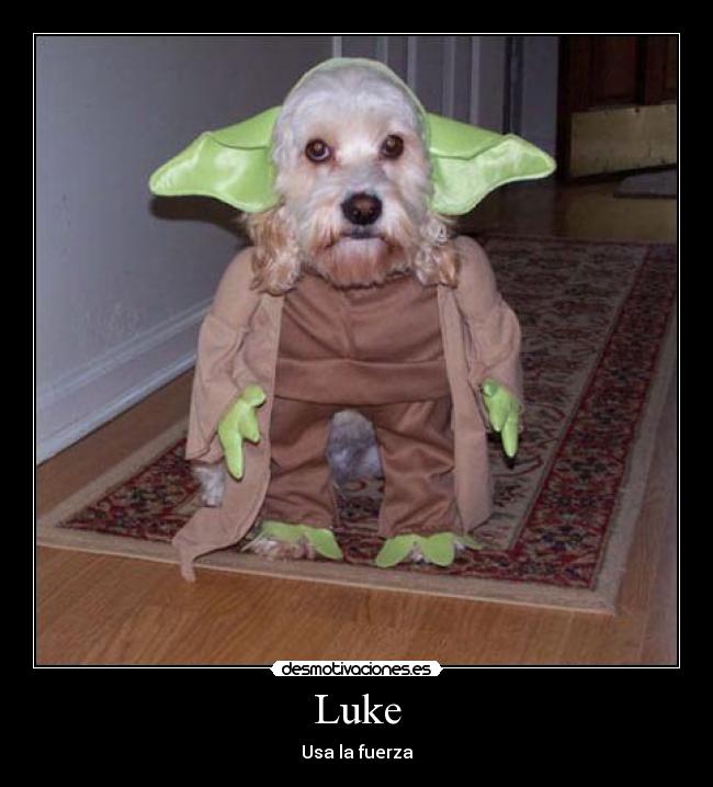 carteles usa fuerza desmotivaciones