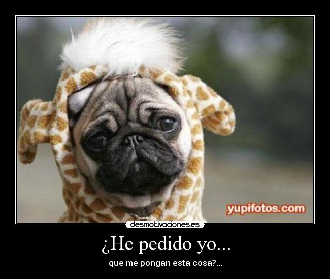 ¿He pedido yo... - que me pongan esta cosa?...