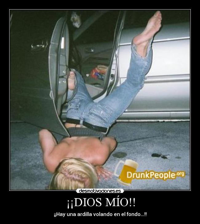 ¡¡DIOS MÍO!! - ¡¡Hay una ardilla volando en el fondo...!!