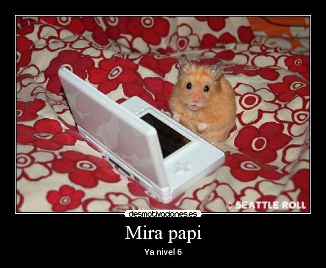 Mira papi - 