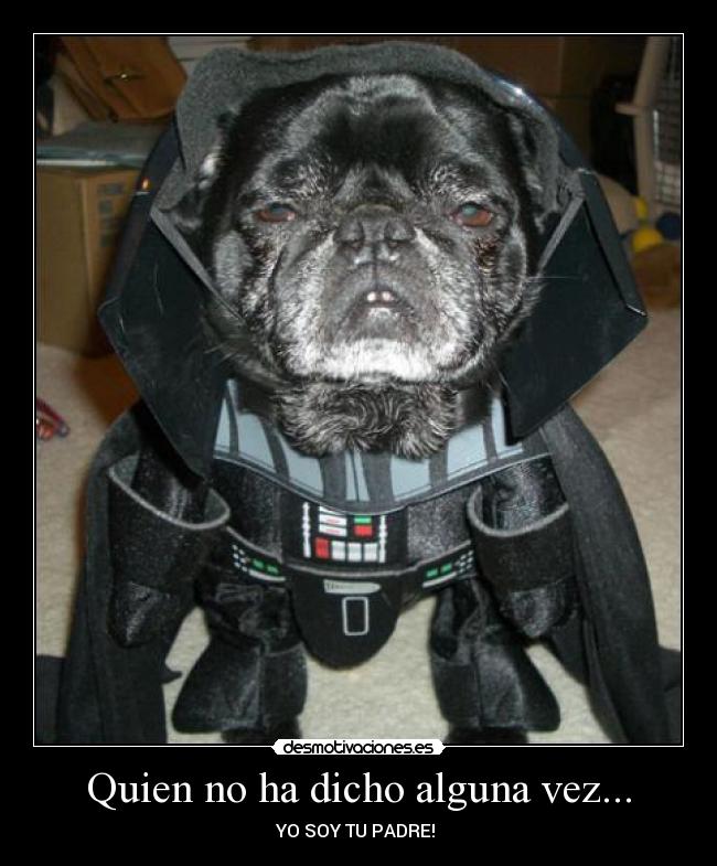 Quien no ha dicho alguna vez... - 