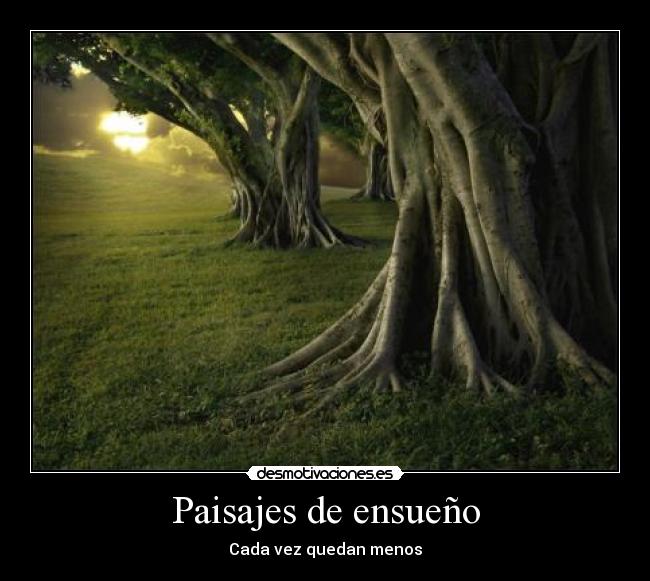 Paisajes de ensueño - 