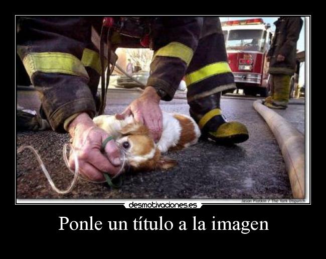 Ponle un título a la imagen -