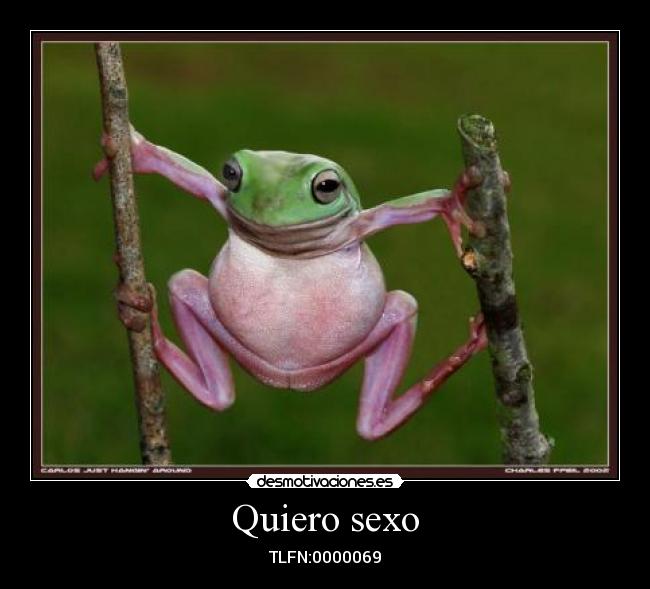 Quiero sexo - TLFN:0000069