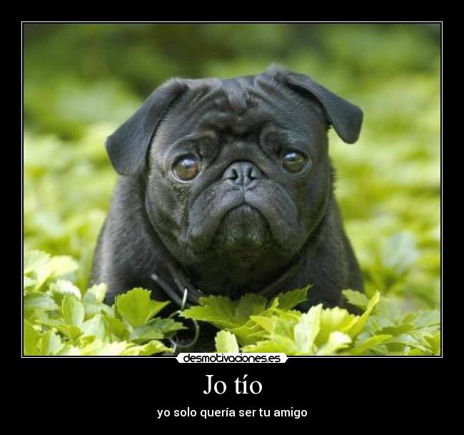 Jo tío - yo solo quería ser tu amigo