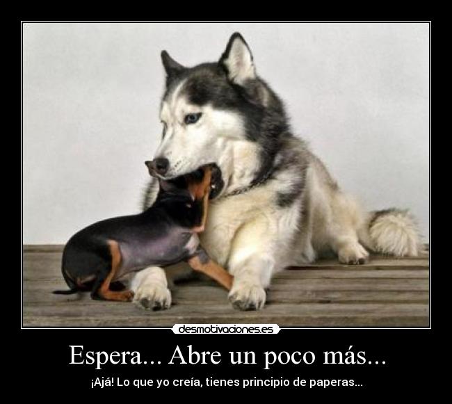 Espera... Abre un poco más... -