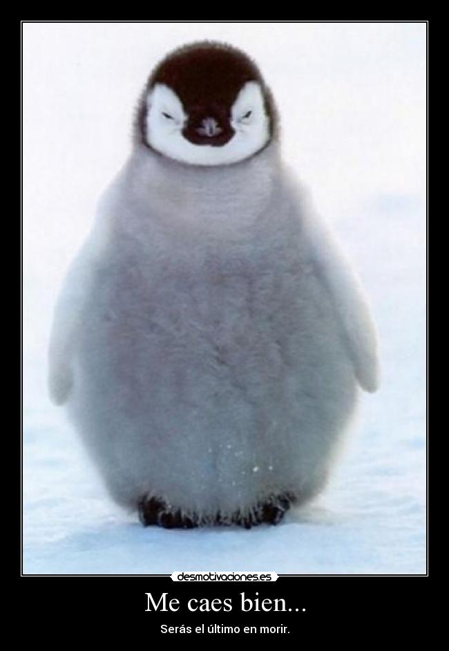 Me caes bien... - 