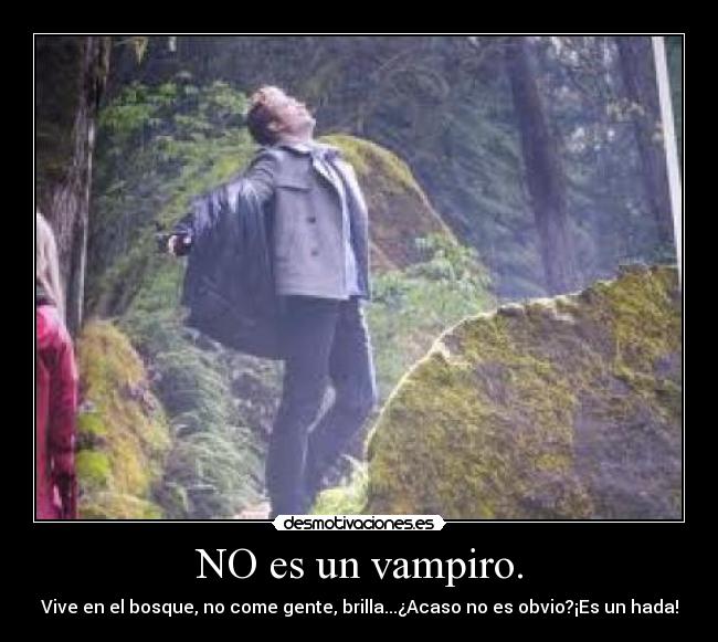 NO es un vampiro. - Vive en el bosque, no come gente, brilla...¿Acaso no es obvio?¡Es un hada!