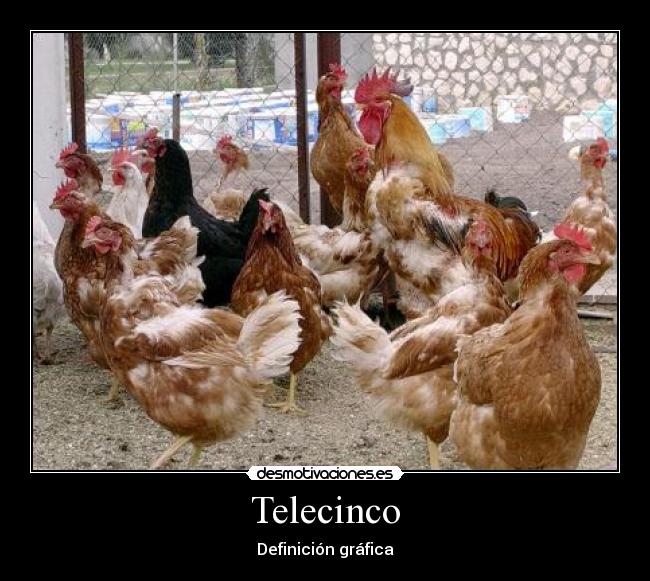 Telecinco -