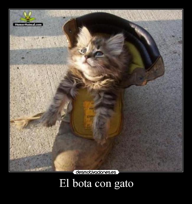 El bota con gato -