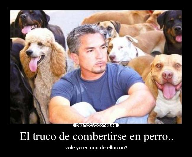 El truco de combertirse en perro.. - 