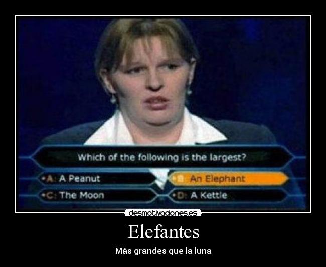 Elefantes - Más grandes que la luna