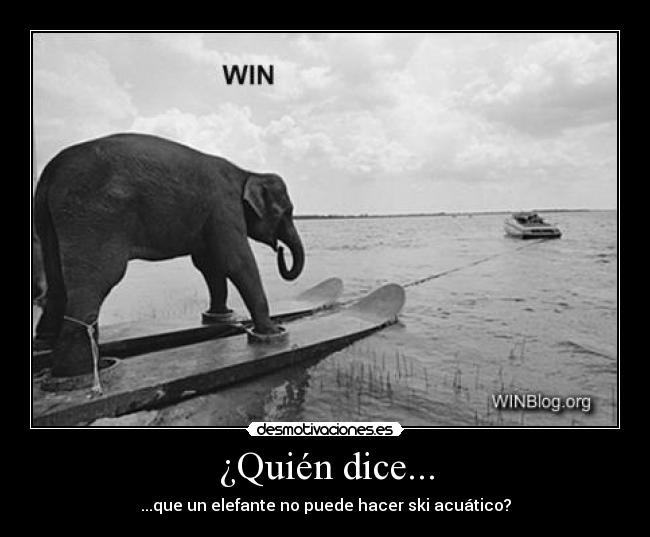 ¿Quién dice... - ...que un elefante no puede hacer ski acuático?