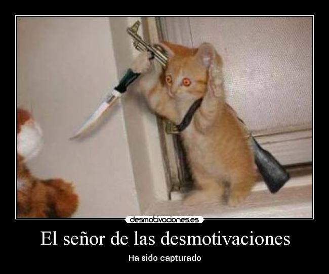 El señor de las desmotivaciones - Ha sido capturado