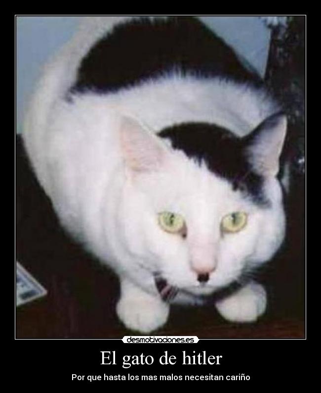 El gato de hitler - Por que hasta los mas malos necesitan cariño