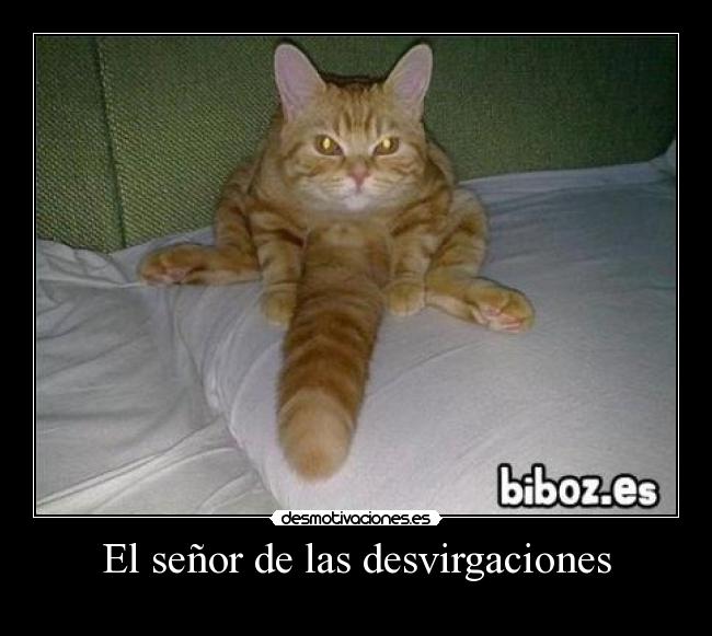 El señor de las desvirgaciones - 