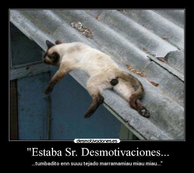 Estaba Sr. Desmotivaciones... - 