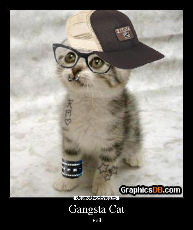 Gangsta Cat - 