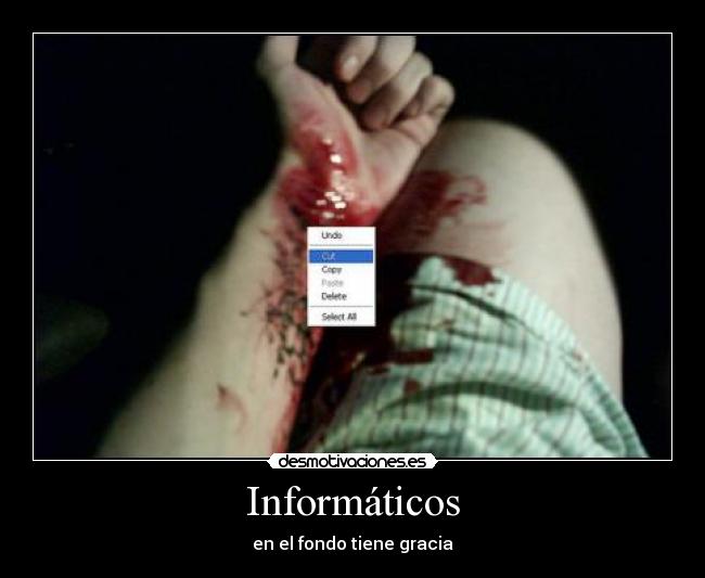 Informáticos -