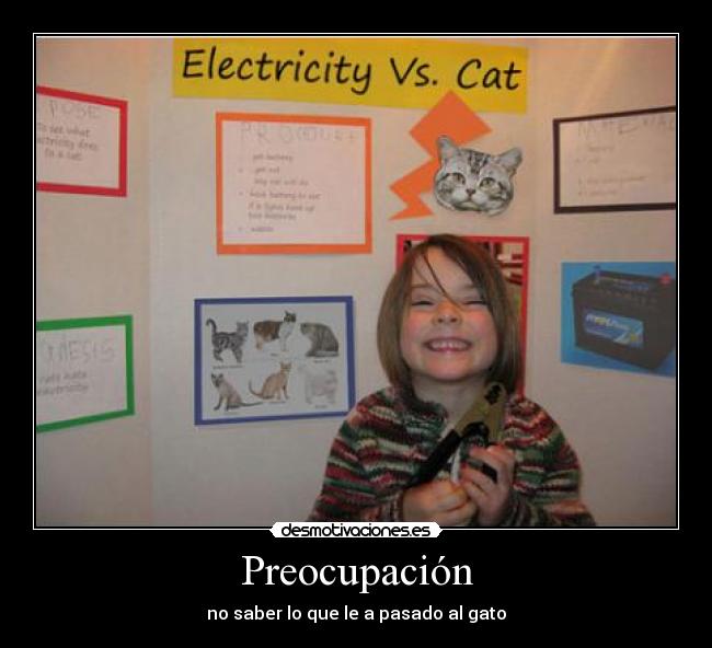 Preocupación - no saber lo que le a pasado al gato