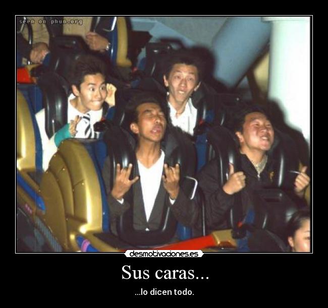 Sus caras... - ...lo dicen todo.