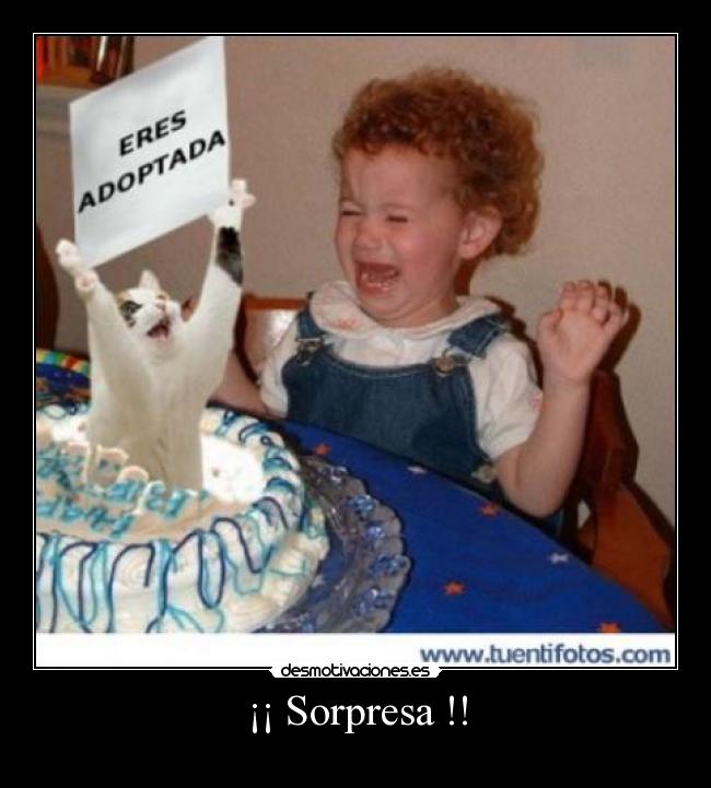 ¡¡ Sorpresa !! -