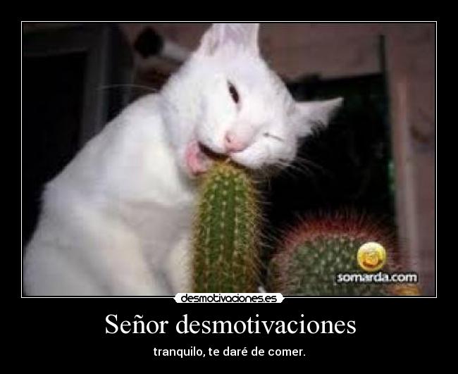 Señor desmotivaciones - 