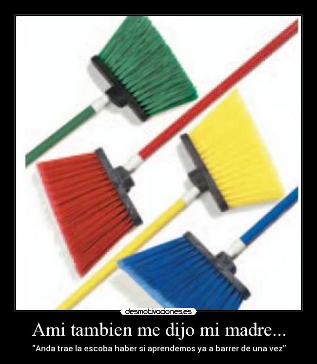Ami tambien me dijo mi madre... - Anda trae la escoba haber si aprendemos ya a barrer de una vez