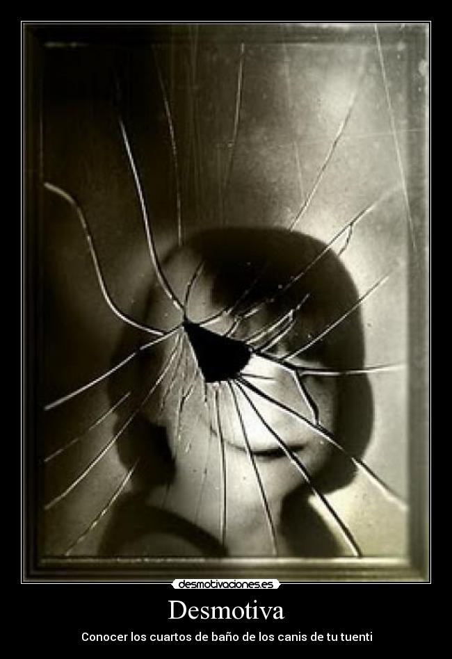 carteles canis desmotivaciones