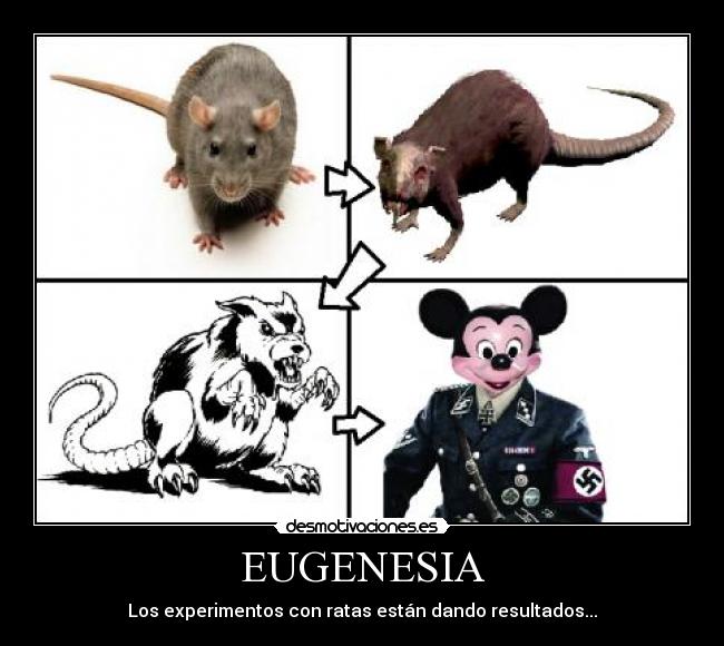 carteles eugenesia rata ratas ratones raton mickey mouse nazi hitler ciencia experimento prueba desmotivaciones