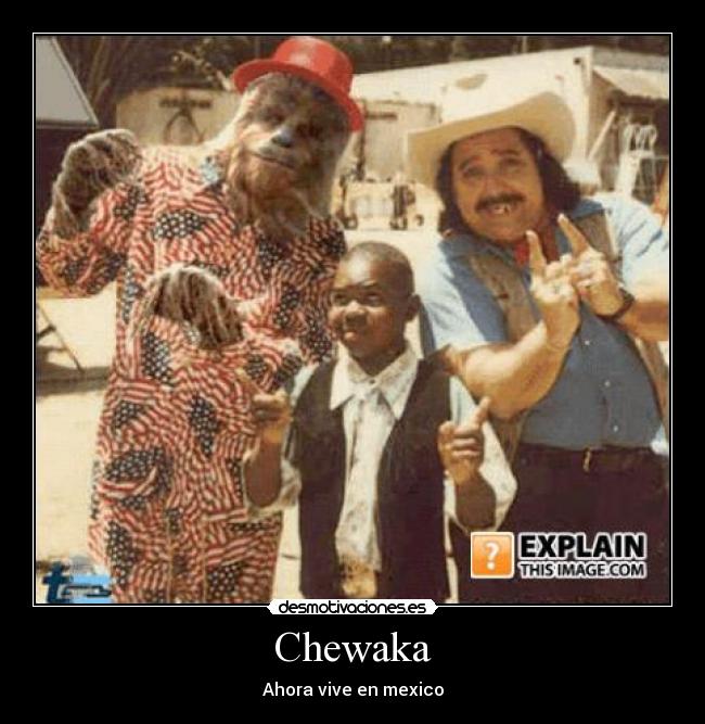 Chewaka - Ahora vive en mexico