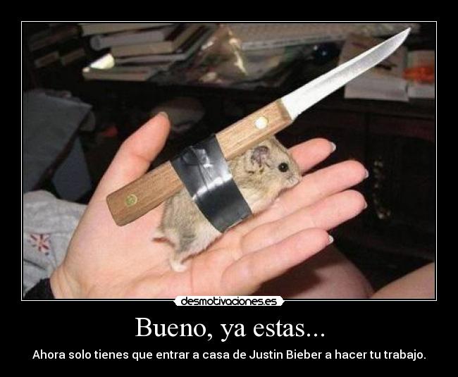 Bueno, ya estas... - Ahora solo tienes que entrar a casa de Justin Bieber a hacer tu trabajo.