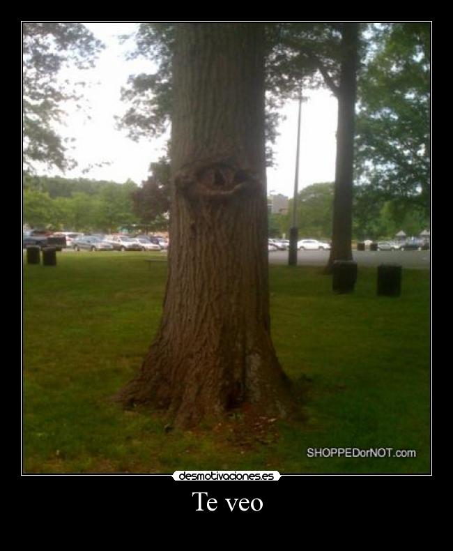 Te veo -