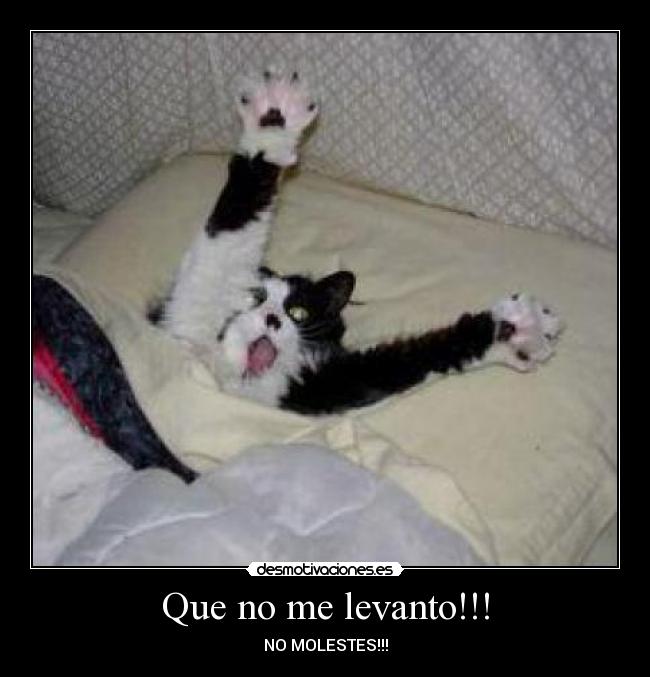 carteles desmotivacion desmotivaciones