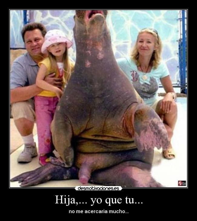 Hija,... yo que tu... - 