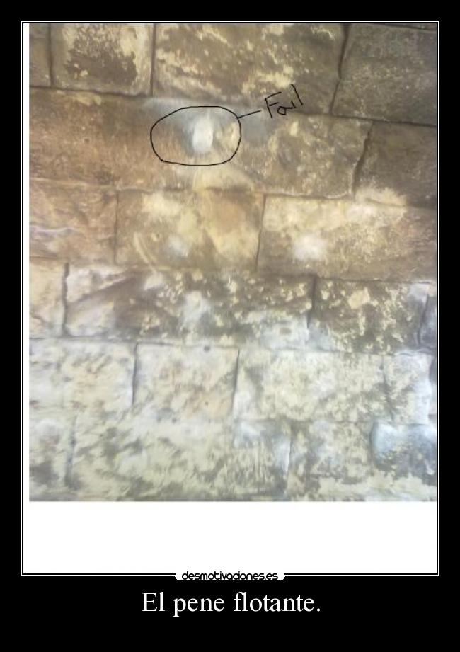 El pene flotante. - Descripción