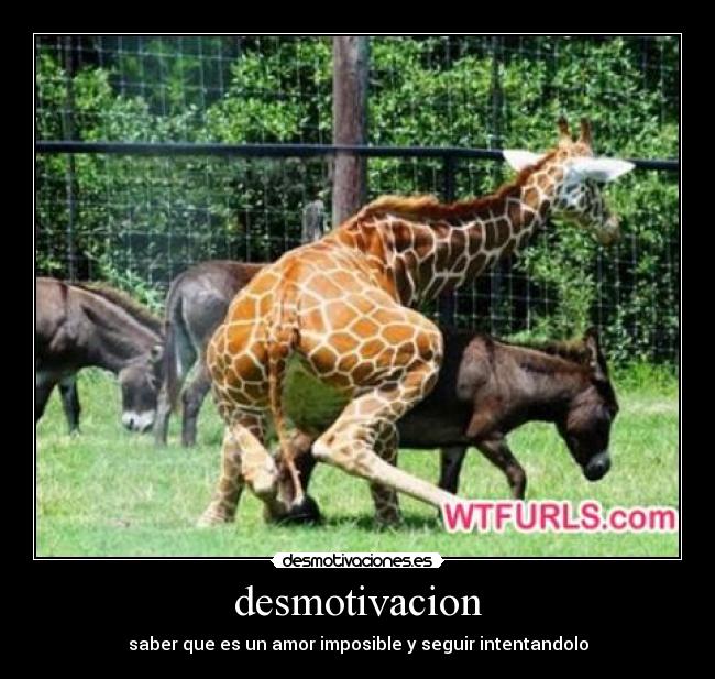 carteles desmotivaciones