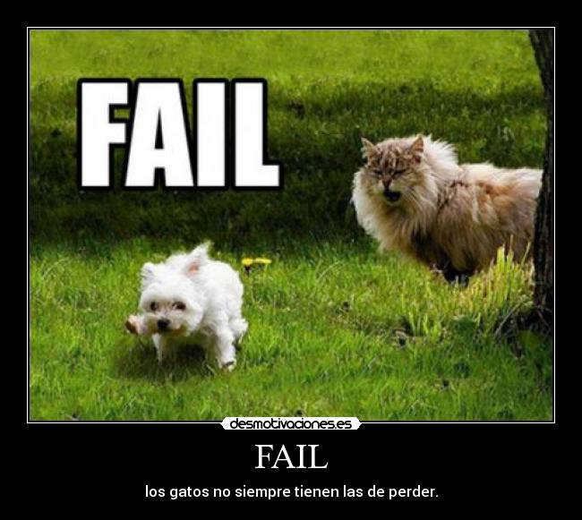 FAIL - los gatos no siempre tienen las de perder.