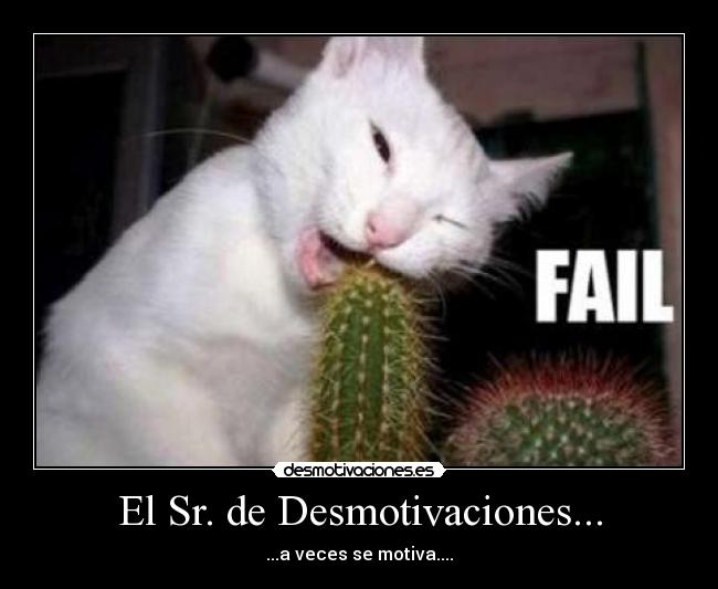 El Sr. de Desmotivaciones... - ...a veces se motiva....