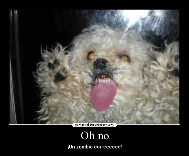 Oh no - ¡Un zombie correeeeed!