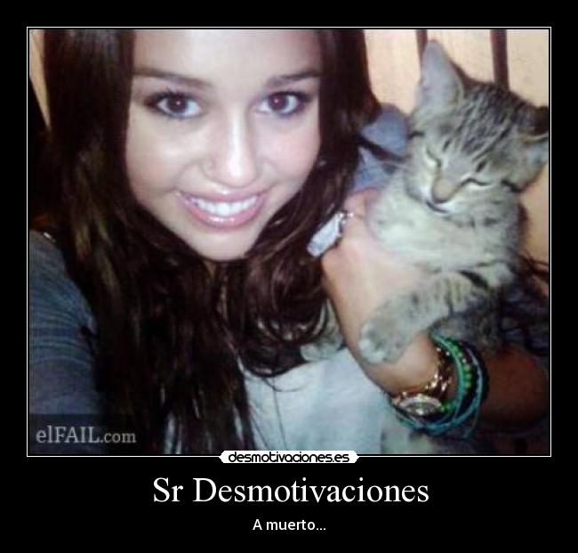 Sr Desmotivaciones - A muerto...