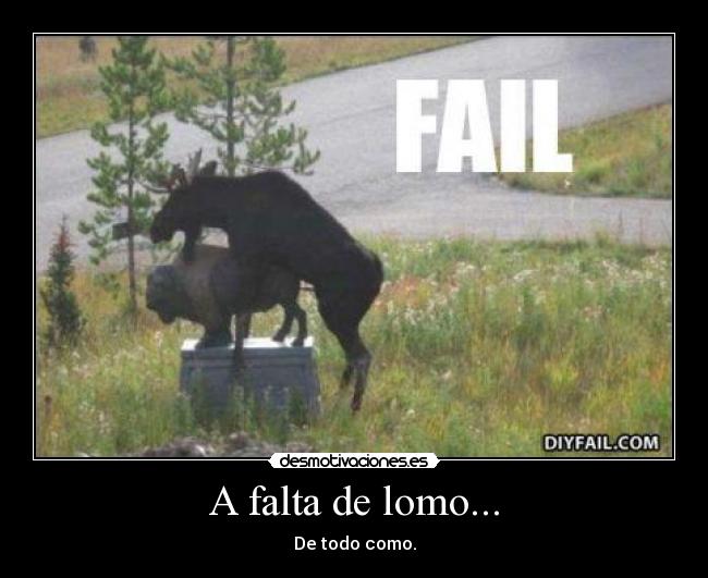 A falta de lomo... - De todo como.