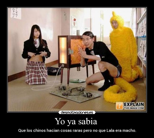 Yo ya sabia - Que los chinos hacian cosas raras pero no que Lala era macho.