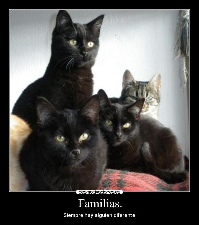 Familias. - Siempre hay alguien diferente.