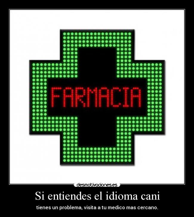 carteles idioma idioma cani desmotivaciones