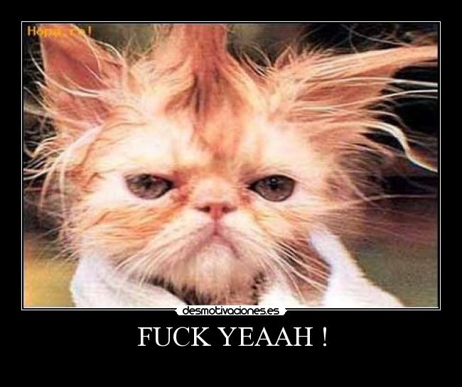 FUCK YEAAH ! -