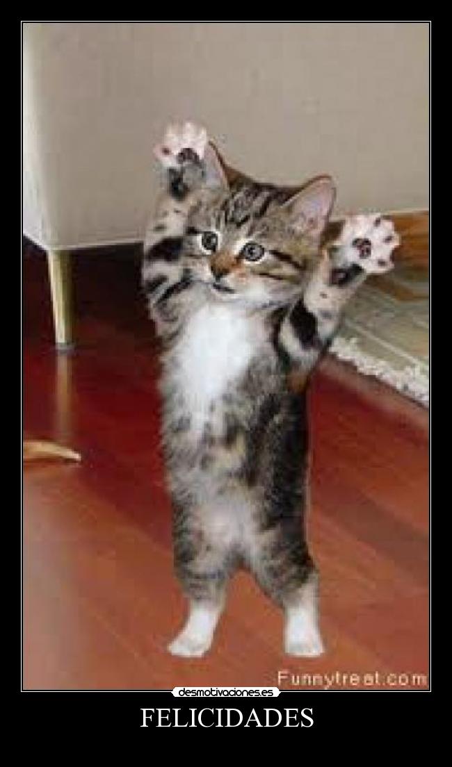 FELICIDADES -
