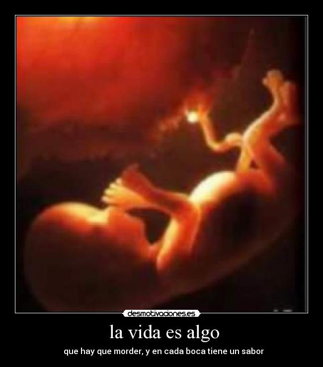 carteles vida miedo desmotivaciones